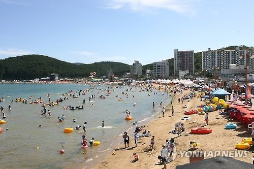 올해 부산 일광·임랑 해수욕장 축제로 '풍성'
