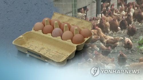 살충제 달걀 막는다…동물용 살충제·소독제 안전기준 마련