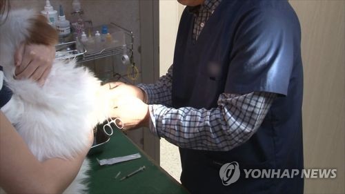 '제각각' 동물병원 진료비…표준진료제 도입한다