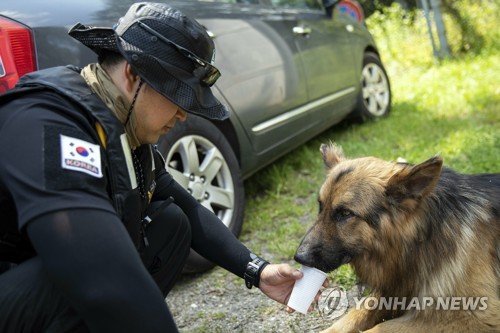 "수중 30m까지 감지"…헝가리 유람선 참사에 獨수중수색견 투입