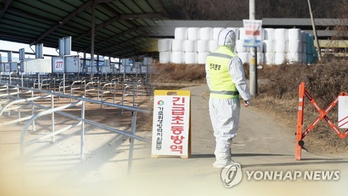 소 구제역 항체검사 강화…백신 안 맞히면 보상금 안 준다