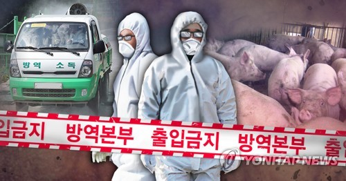 북한 접경지역 돼지열병 긴급방역…돼지 혈청검사 모두 음성