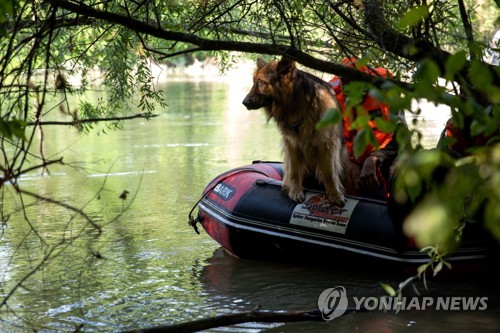 "수중 30m까지 감지"…헝가리 유람선 참사에 獨수중수색견 투입