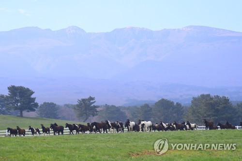 제주시, 초지 내 무단 농작물 재배 등 불법행위 전수조사