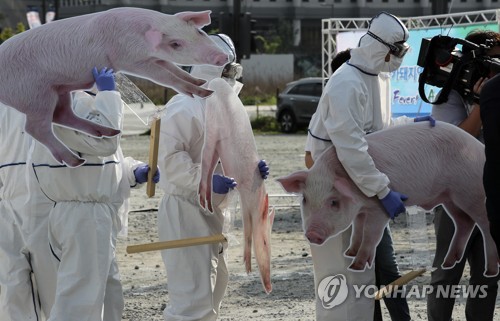 베트남 55개 지역서 돼지열병 발생…245만 마리 살처분