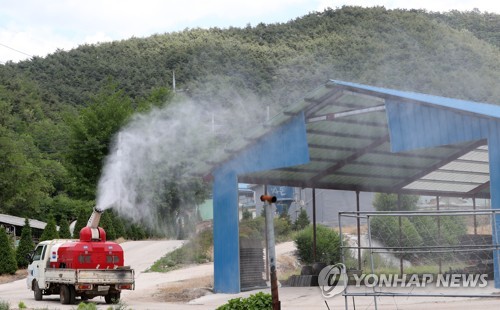 농식품부, 접경지 아프리카돼지열병 긴급 방역…돼지 혈액검사