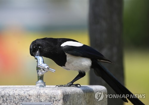 서울 29도·대구 34도…경기 북부 '빗방울'