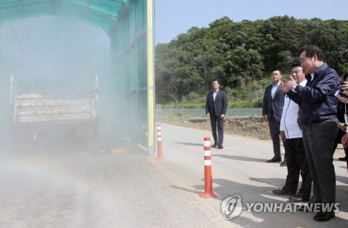 환경부 "아프리카 돼지열병 차단"…음식물 사료공정 철저관리