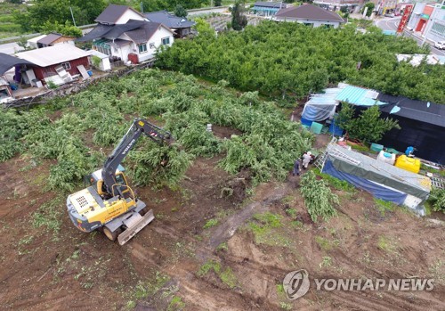 과수 세균병에 병해충까지 확산…강원 농가 시름