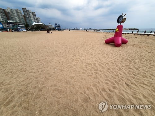 백사장 늘고 줄고…개장 앞둔 동해안 해수욕장 희비 교차