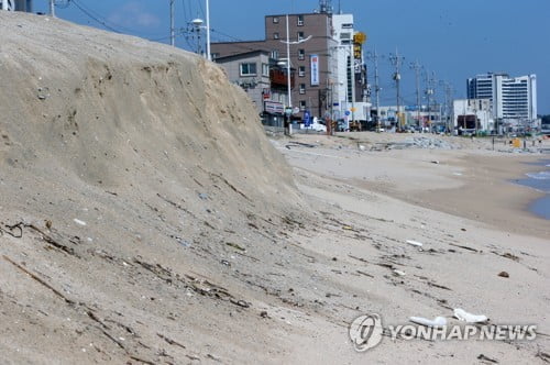 백사장 늘고 줄고…개장 앞둔 동해안 해수욕장 희비 교차