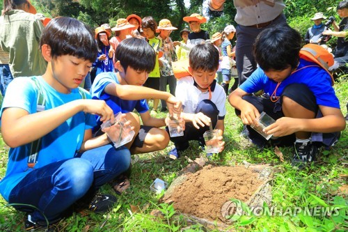 [카메라뉴스] 멸종위기 두점박이사슴벌레 제주 곶자왈 품으로