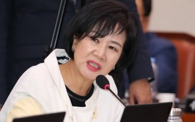 손혜원 "차명 부동산 밝혀지면 전 재산 기부"…네티즌 "기부 아닌 몰수 아닌가"