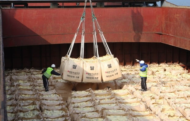 통일부가 19일 "정부는 북한의 식량상황을 고려하여 그간 세계식량계획(WFP)과 긴밀히 협의한 결과, 우선 국내산 쌀 5만t을 북한에 지원하기로 했다"고 발표했다.(사진=연합뉴스)