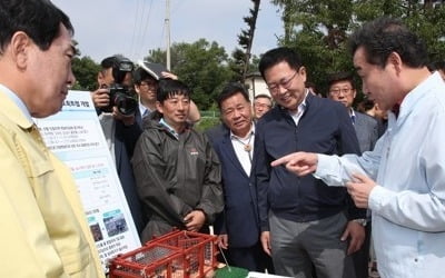 농식품부, 접경지 아프리카돼지열병 긴급 방역…돼지 혈액검사