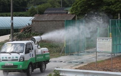 北 "죽은 돼지 깊이 파묻어야"…돼지열병 방역방법 안내