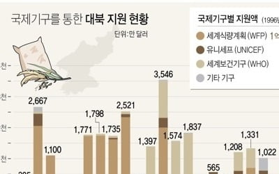 정부, 국제기구 통한 800만달러 대북지원 의결…조만간 집행