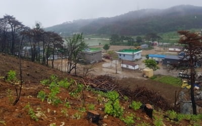 '산사태 위험' 동해안 산불피해지에 장대비…"무너질까 불안"