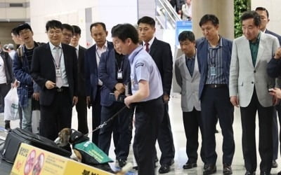 정부 "돼지열병 유입방지 공항·항만 11곳 실태점검 완료"