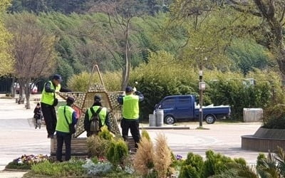 일하고 싶은 노인들…"65세 이상 경제활동참가율 역대 최고"