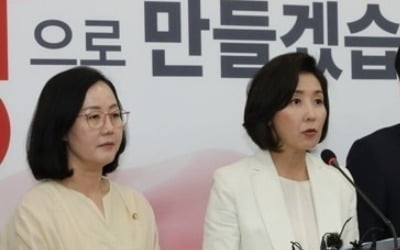 나경원 "경제청문회 먼저하고 추경심사 돌입해야…靑 반대 심해"