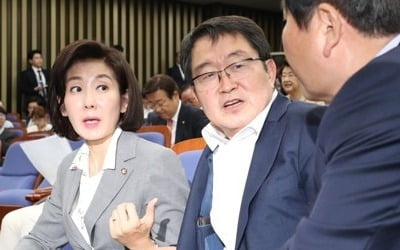 한국·바른미래당 '손혜원 국정조사' 파상공세…민주당 '침묵'