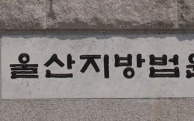 "호미곶 투자하면 땅값 5∼10배 올라" 기획부동산 일당 실형