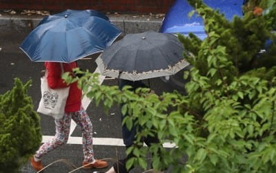 카지노 민회장특보 확대…국립공원 6곳 통제·항공기 24편 결항