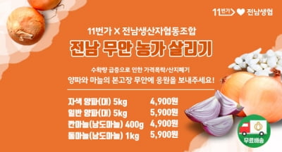 11번가, 양파·마늘 농가 돕는다…6일 30% 할인 판매