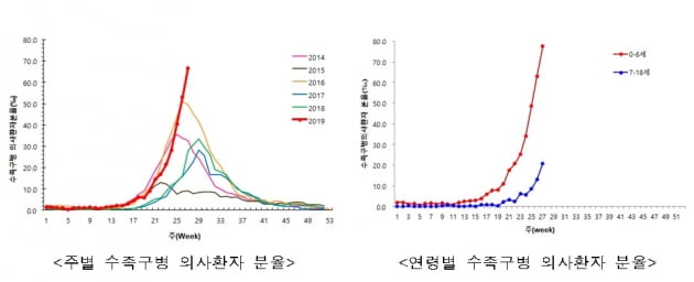 수족구병 의심환자, 조사이래 최고 수준…키즈카페, 문화센터 등 소독 신경써야