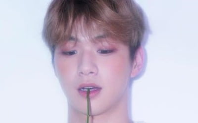 '솔로 데뷔' 강다니엘, 앨범 유통사 소니뮤직 확정…본격 활동 시동 [공식입장]