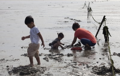 공항철도 '무의도 갯벌체험' 여행상품 출시