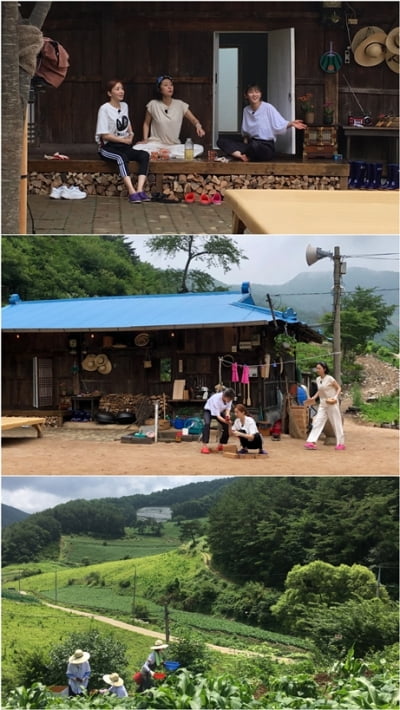 염정아 윤세아 박소담 '삼시세끼 산촌편' 내달 9일 첫방