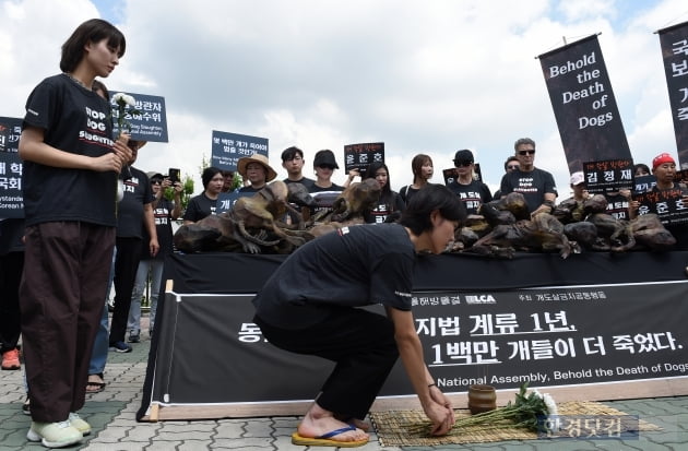 [포토] 희생된 강아지에 헌화