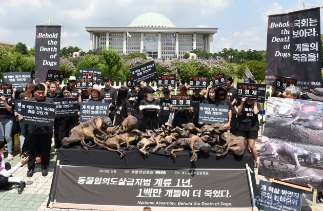 [포토] 동물 임의도살 금지법의 조속한 국회 통과를 촉구