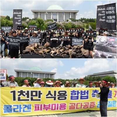 [포토] 2019년 초복, 한 날 한 시 국회 앞장소에서 벌어진 풍경