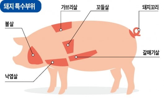 돼지꼬리·닭 목살·샤퀴테리 더 없나요?