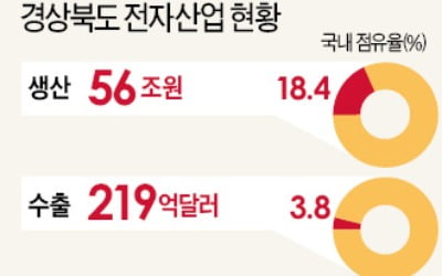 5G 테스트베드·홀로그램·홈케어가전…경북도, 새 먹거리 '5대 新사업' 추진