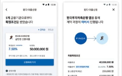 대출도 '최저가 검색'…금리·한도 앱으로 비교