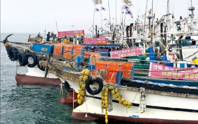 한여름 멸치 어부들의 '해상 시위'…"7월 최대 성수기에 잡지 말라니…"