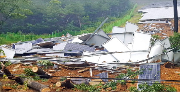 비바람에 파손된 태양광 패널. /한경DB 