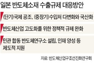 "반도체 소재 국산화 외쳤지만…환경규제로 '골든타임' 놓쳤다"