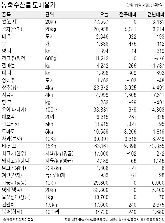 마른장마에 대파 가격 올라…1년 전보다 58% 뛰어