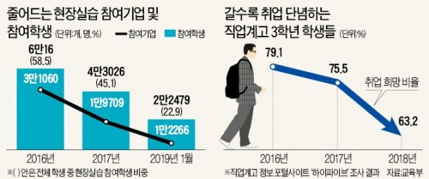 고졸성공시대 믿고 직레고카지노高 갔는데…취업 막힌 '19세 청년들'의 눈물