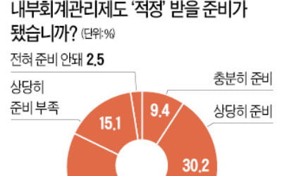 "기업 10곳 중 6곳 내부회계관리제도 준비 부족"