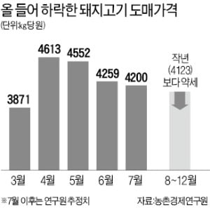 삼겹살 한 근에 10만원 간다더니…돼지고기값 폭락, 왜?