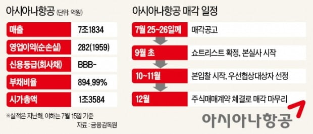 [단독] 불붙은 아시아나 인수전…기업들 물밑작업 '잰걸음' 