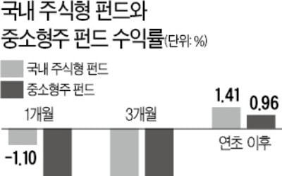 잘나가던 중소형주 펀드 어쩌다가…한 달새 5% 손실