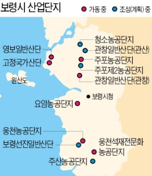 대천해수욕장 28일까지 '글로벌 머드축제'…여름 힐링은 보령이다