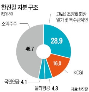 美 델타항공, 한진칼 지분 추가매입 착수